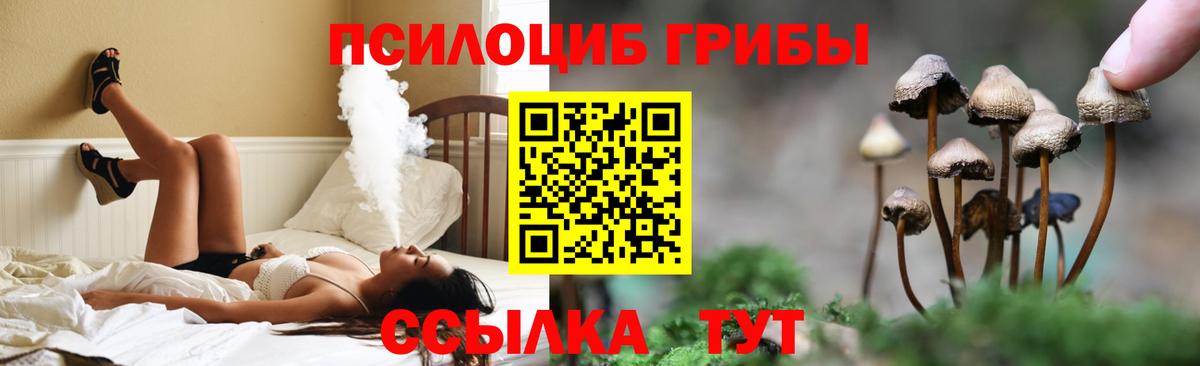 Галлюциногенные грибы прущие грибы Губаха