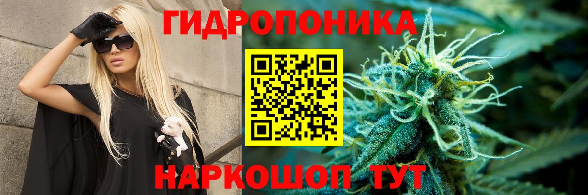 Бошки марихуана White Widow Губаха